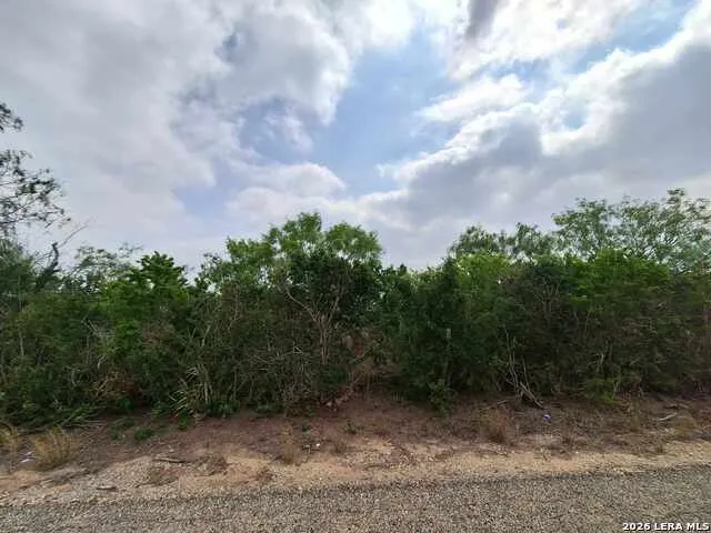 0 CR 148 Kenedy, TX 78119