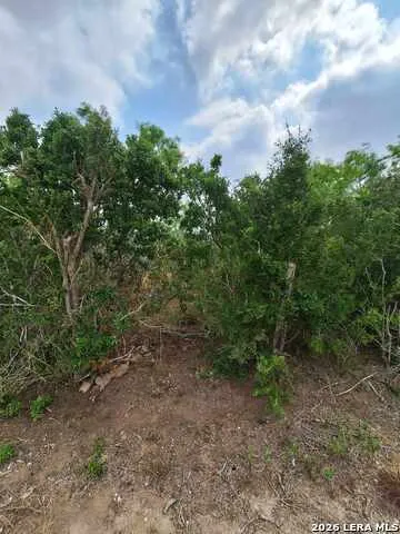 0 CR 148 Kenedy, TX 78119