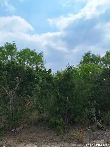 0 CR 148 Kenedy, TX 78119