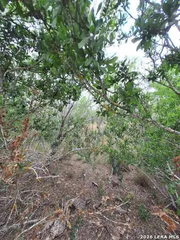 0 CR 148 Kenedy, TX 78119