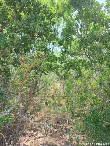 0 CR 148 Kenedy, TX 78119