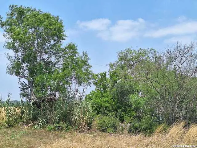 0 CR 148 Kenedy, TX 78119