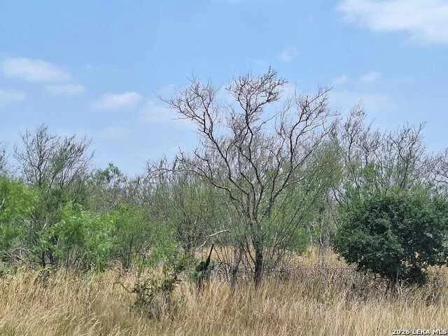 0 CR 148 Kenedy, TX 78119