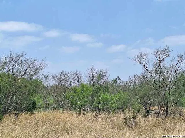 0 CR 148 Kenedy, TX 78119