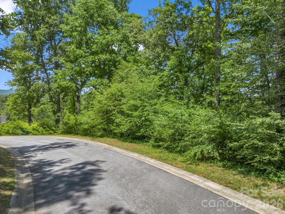 65 Bradford Vistas Vista Fletcher, NC 28732