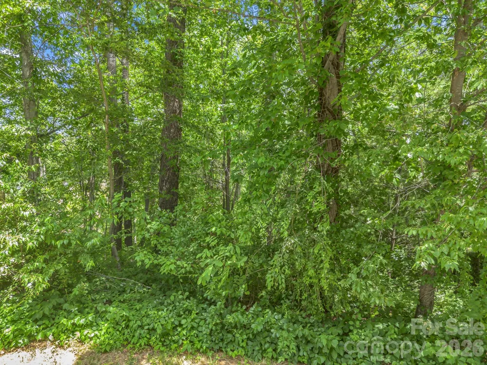 65 Bradford Vistas Vista Fletcher, NC 28732