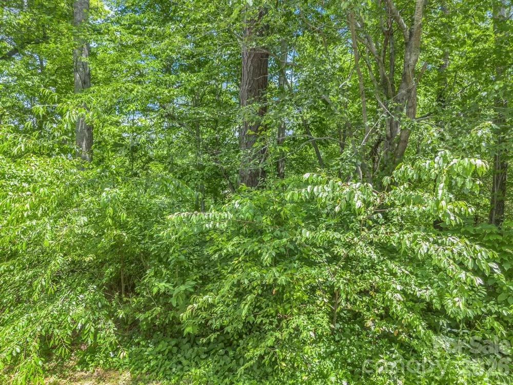 65 Bradford Vistas Vista Fletcher, NC 28732