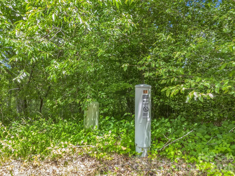 65 Bradford Vistas Vista Fletcher, NC 28732