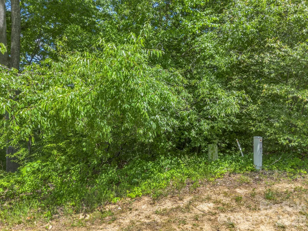 65 Bradford Vistas Vista Fletcher, NC 28732
