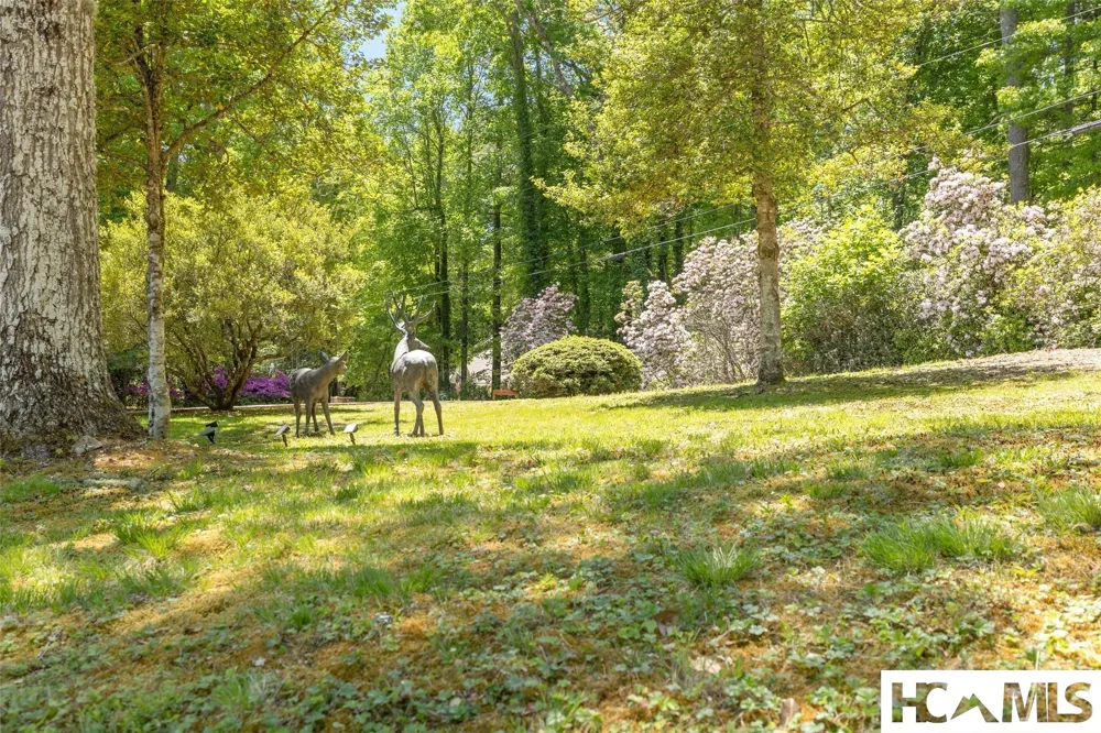 240 Round Hill Road Sapphire, NC 28774