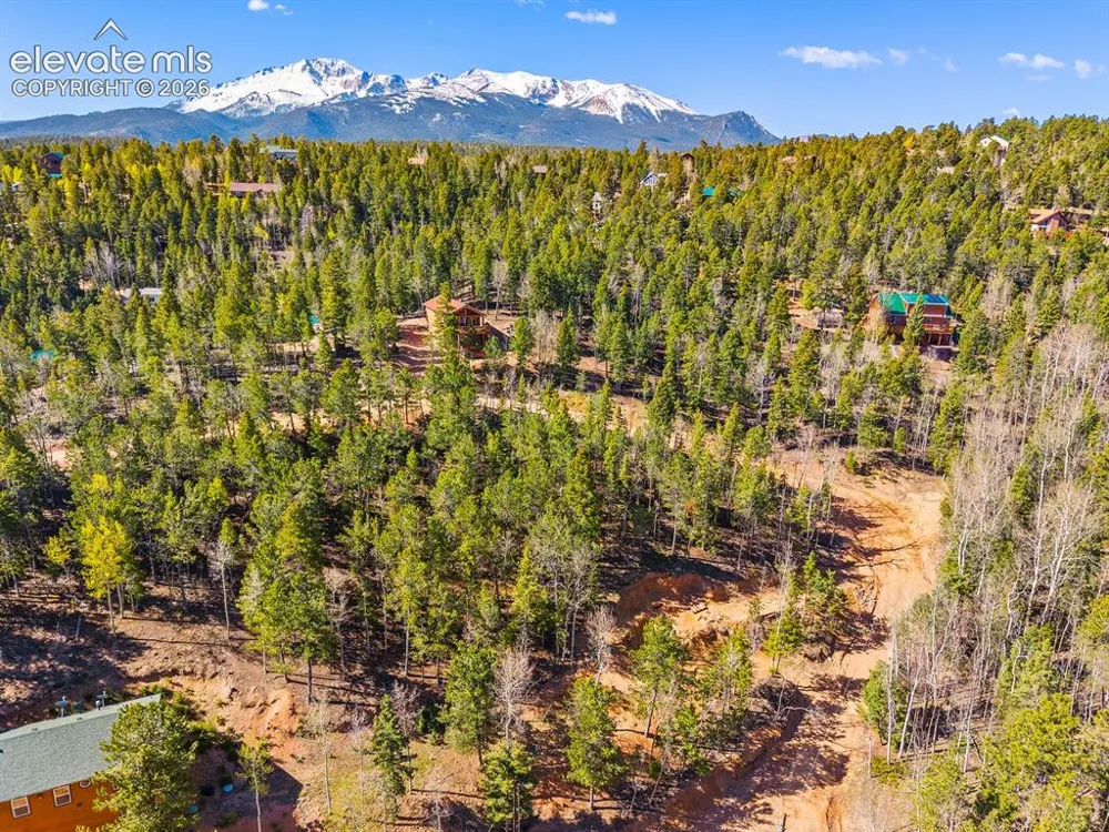 413 Wakanda Trail Woodland Park, CO 80863