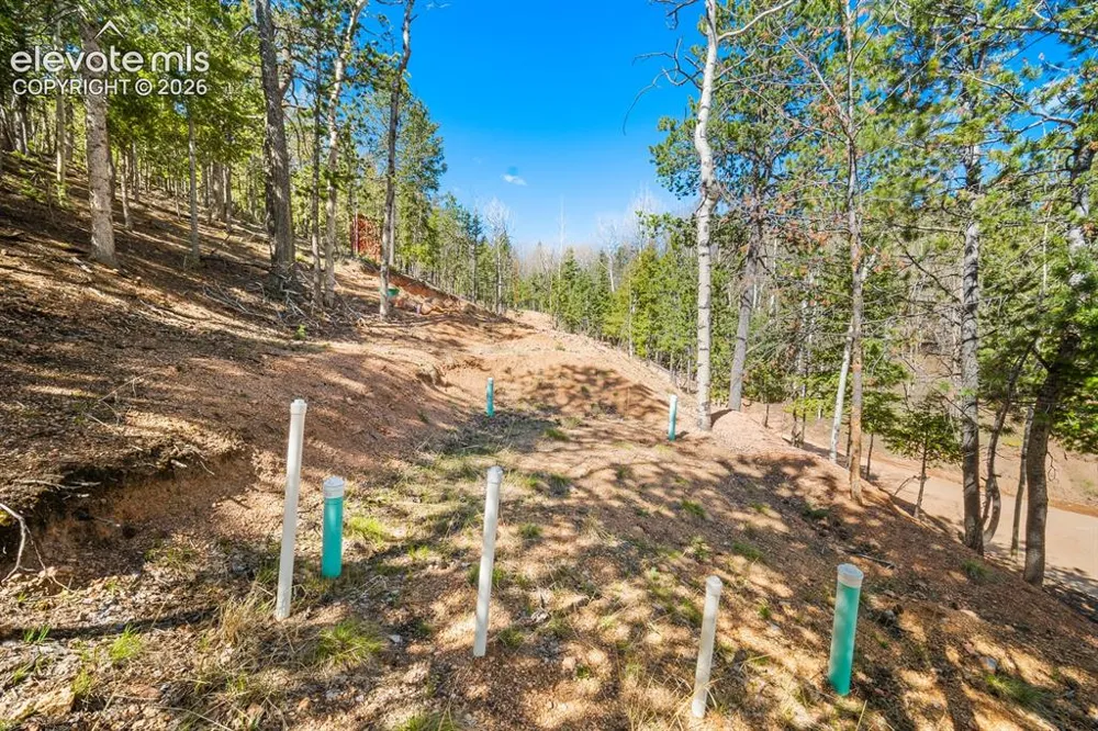 413 Wakanda Trail Woodland Park, CO 80863