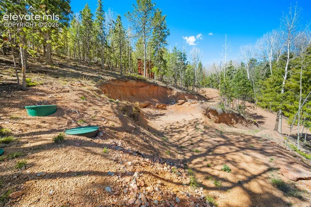 413 Wakanda Trail Woodland Park, CO 80863