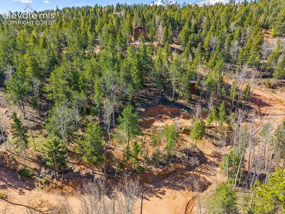 413 Wakanda Trail Woodland Park, CO 80863