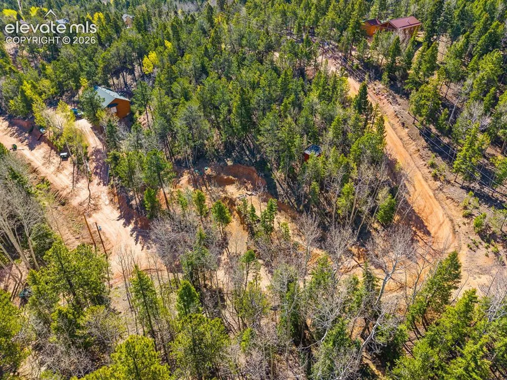 413 Wakanda Trail Woodland Park, CO 80863