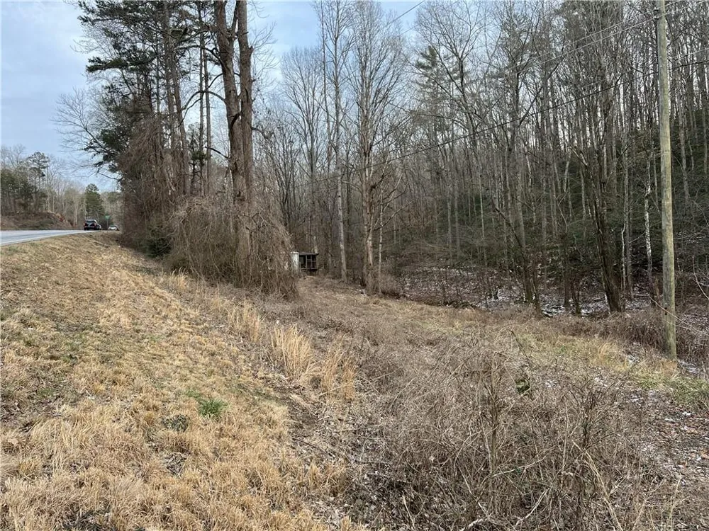 6118 S Chestatee Street Dahlonega, GA 30533