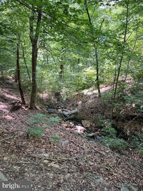 39 RIVER RIDGE LANE Fredericksburg, VA 22406