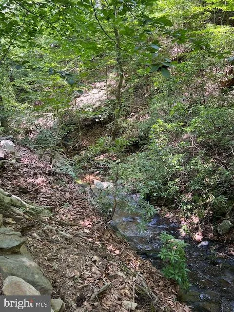 39 RIVER RIDGE LANE Fredericksburg, VA 22406