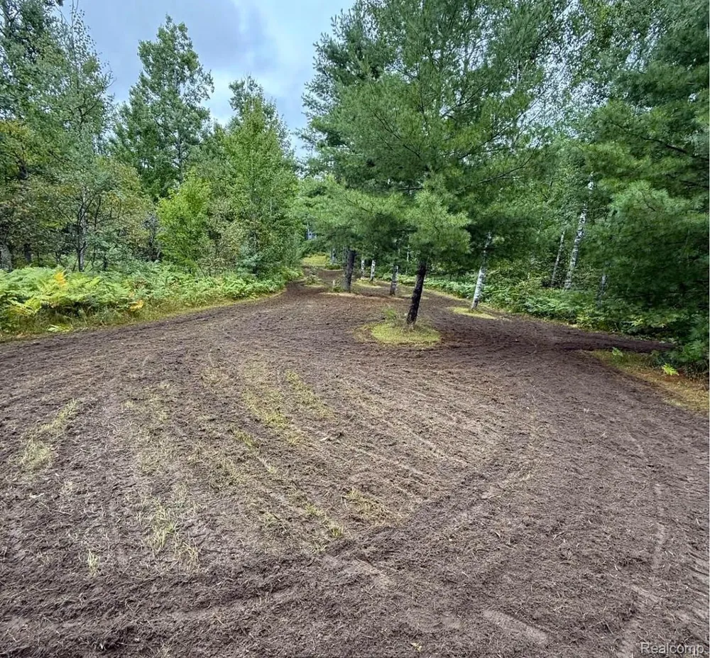 5469 Orchard Trail Road Frederic Township, MI 49733