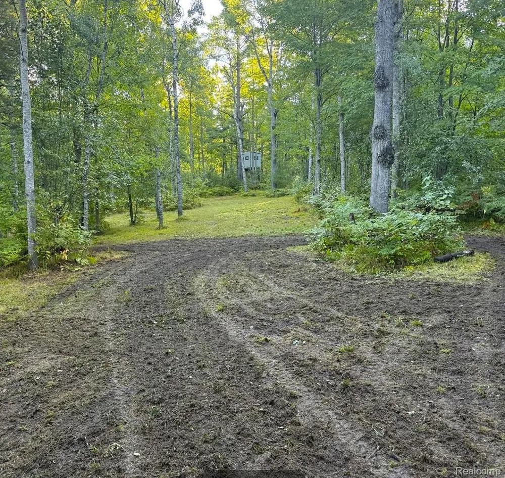 5469 Orchard Trail Road Frederic Township, MI 49733