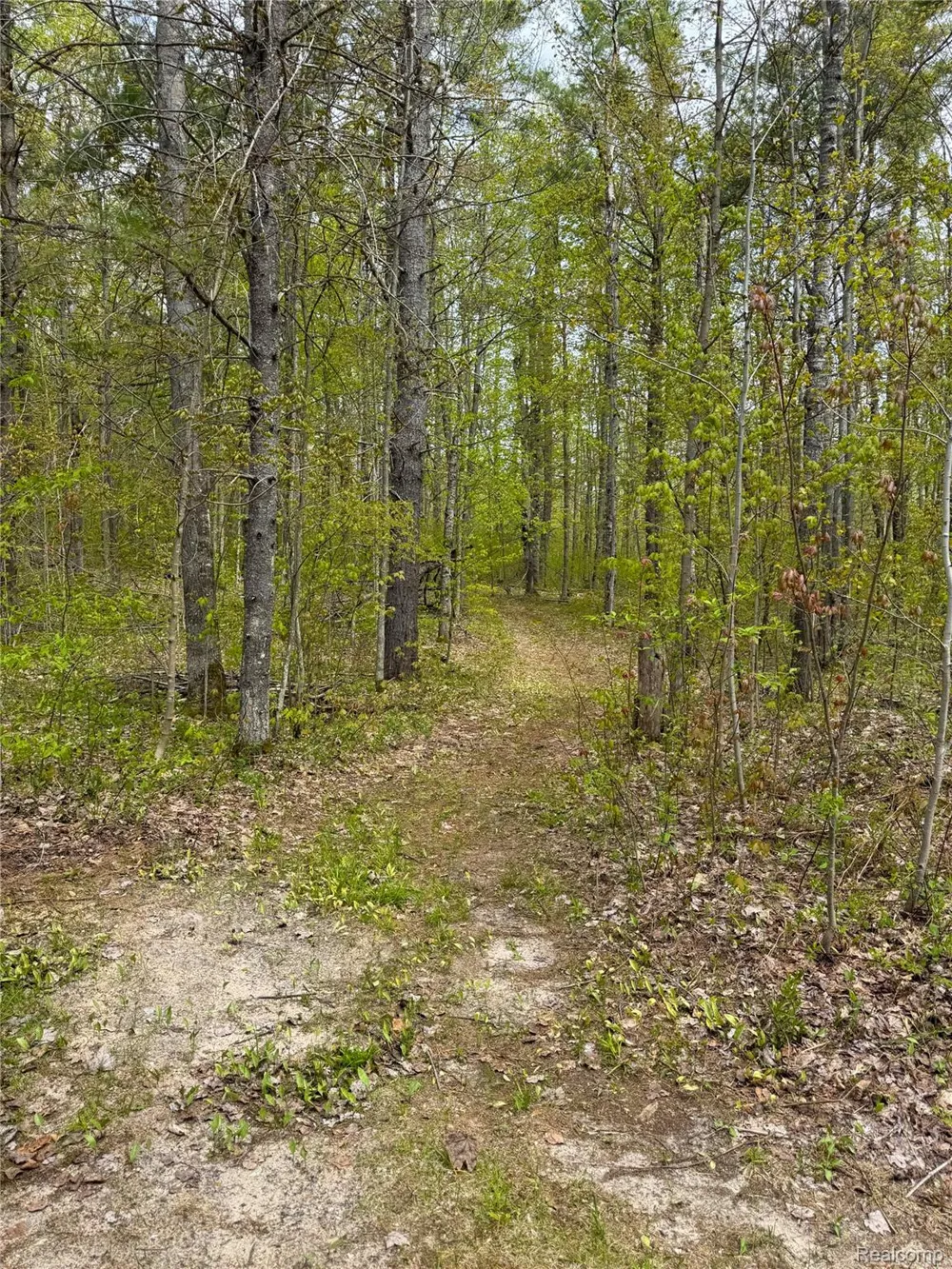 5469 Orchard Trail Road Frederic Township, MI 49733