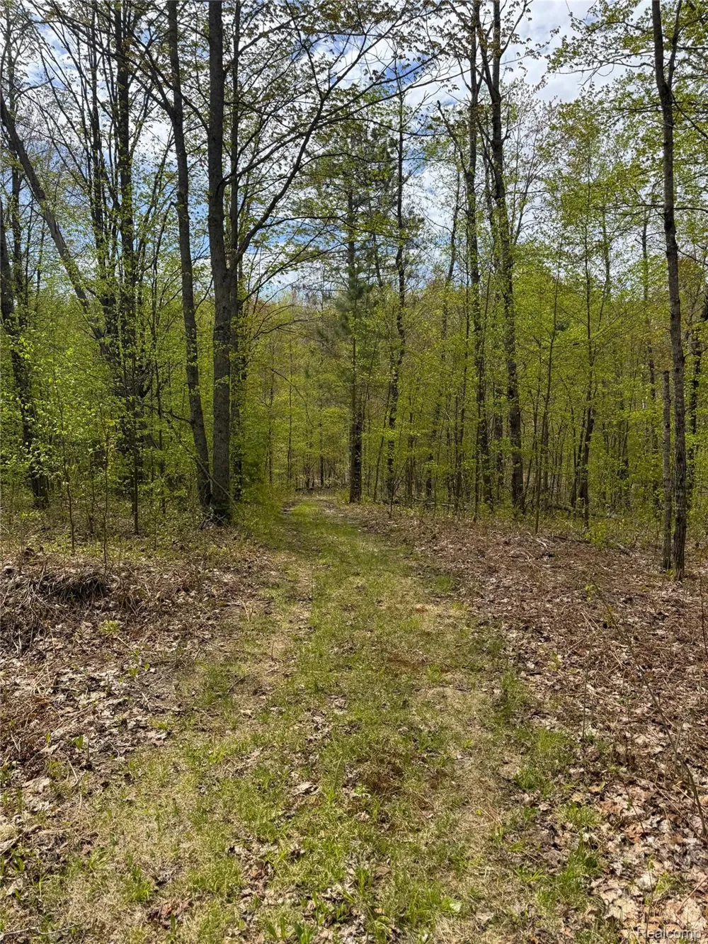 5469 Orchard Trail Road Frederic Township, MI 49733