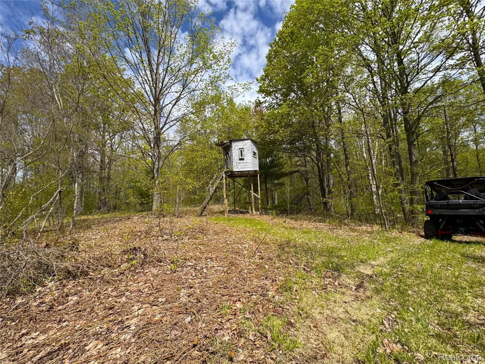 5469 Orchard Trail Road Frederic Township, MI 49733