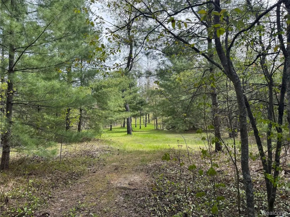 5469 Orchard Trail Road Frederic Township, MI 49733