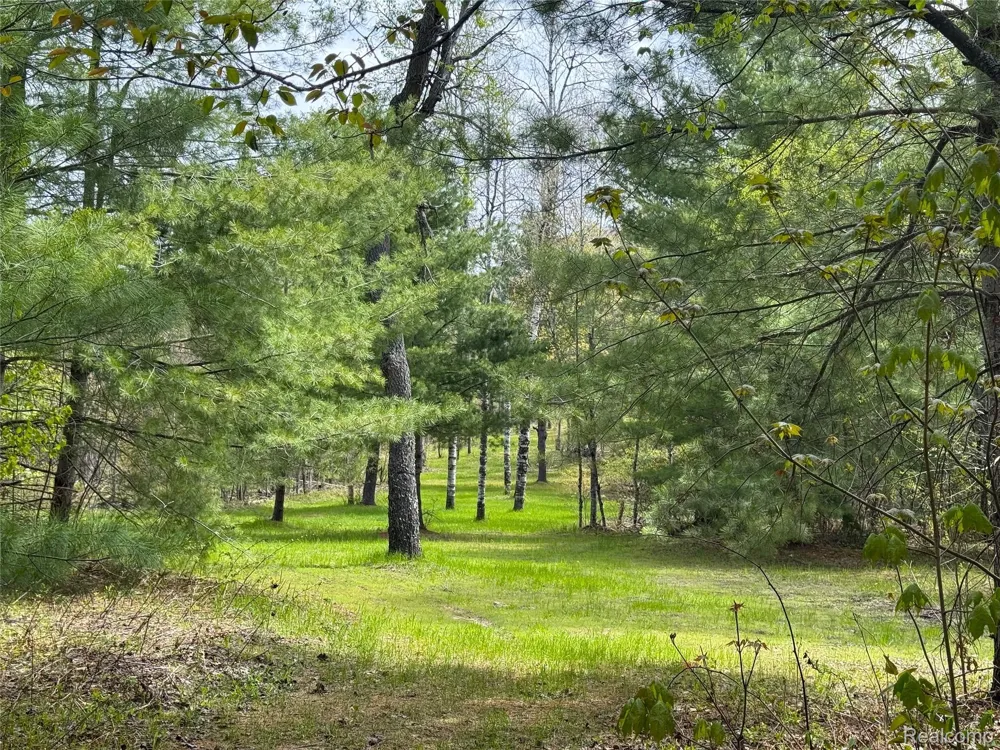 5469 Orchard Trail Road Frederic Township, MI 49733