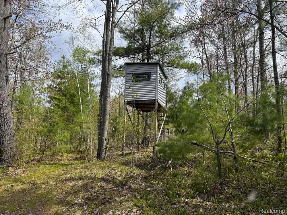5469 Orchard Trail Road Frederic Township, MI 49733