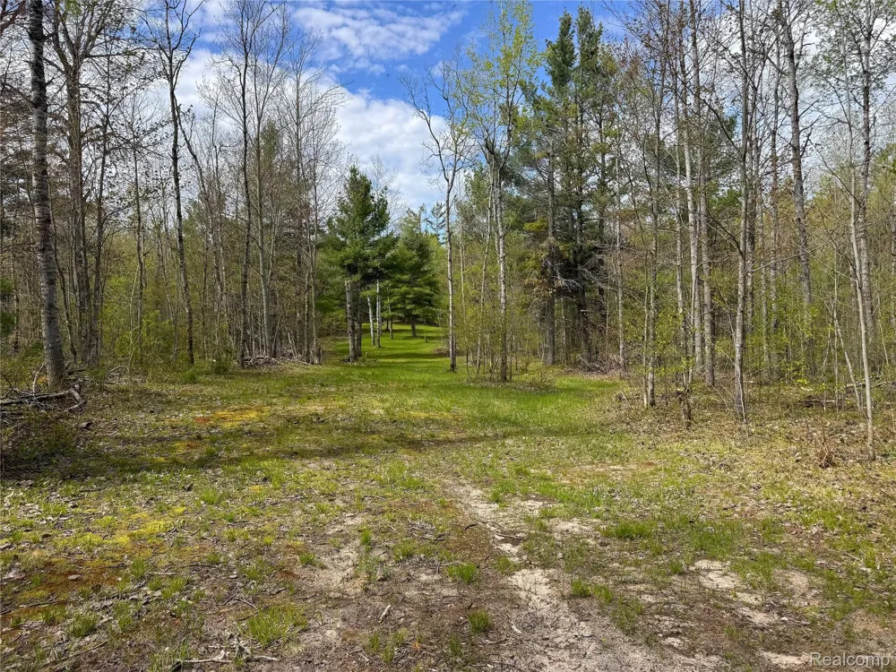 5469 Orchard Trail Road Frederic Township, MI 49733