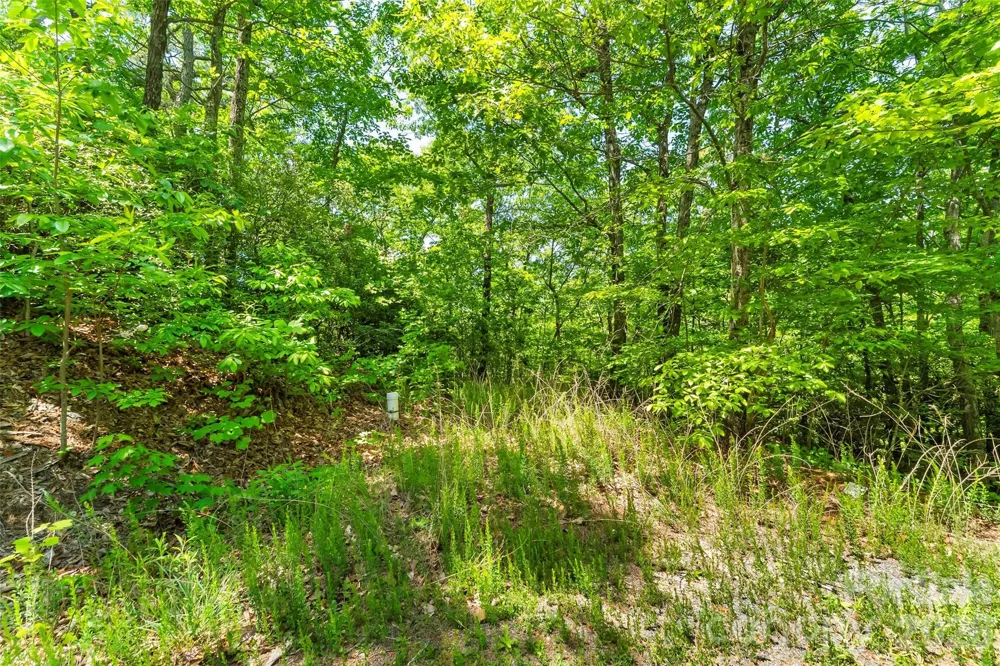 1620 North Haven Drive #CC18 Black Mountain, NC 28711