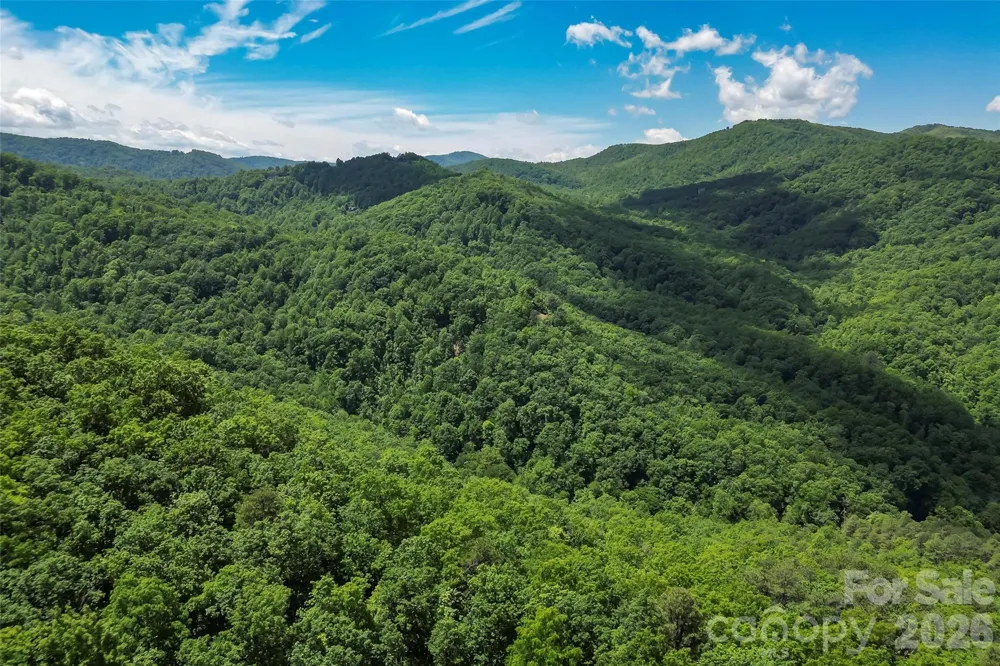 1620 North Haven Drive #CC18 Black Mountain, NC 28711