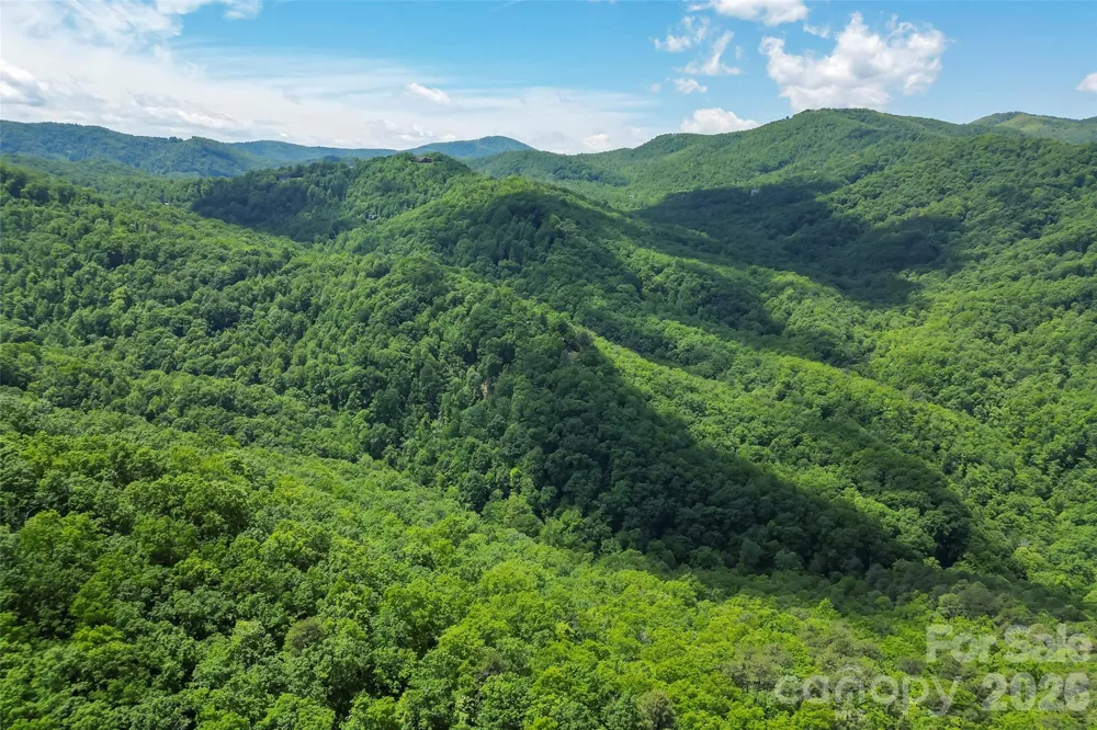 1620 North Haven Drive #CC18 Black Mountain, NC 28711