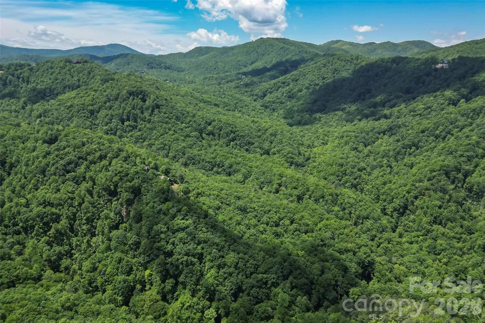 1620 North Haven Drive #CC18 Black Mountain, NC 28711