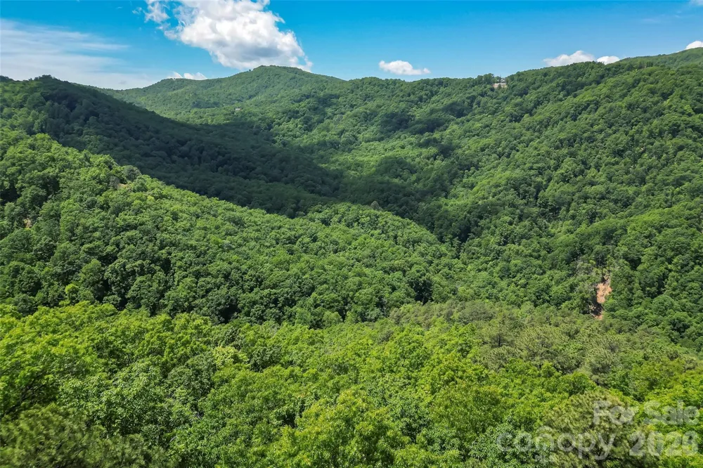 1620 North Haven Drive #CC18 Black Mountain, NC 28711