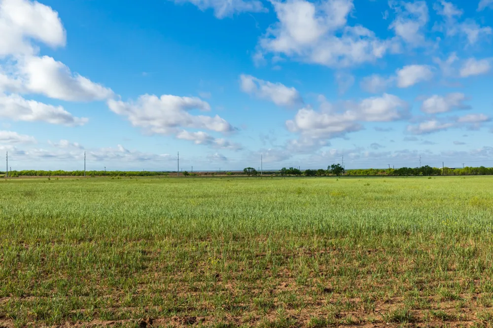 Farm Market 600 Highway Haskell, TX 79521
