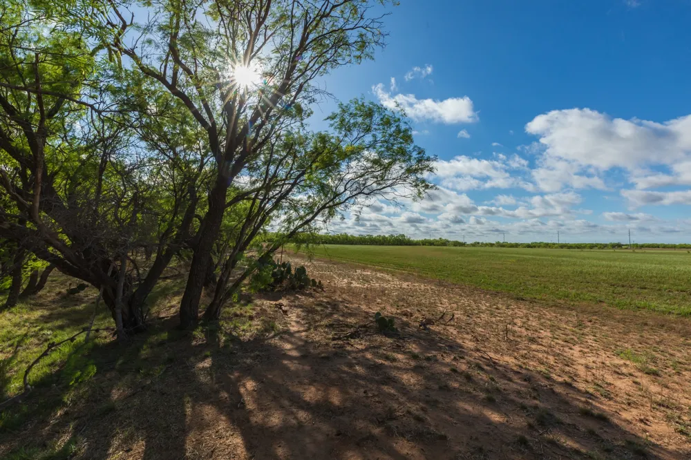 Farm Market 600 Highway Haskell, TX 79521