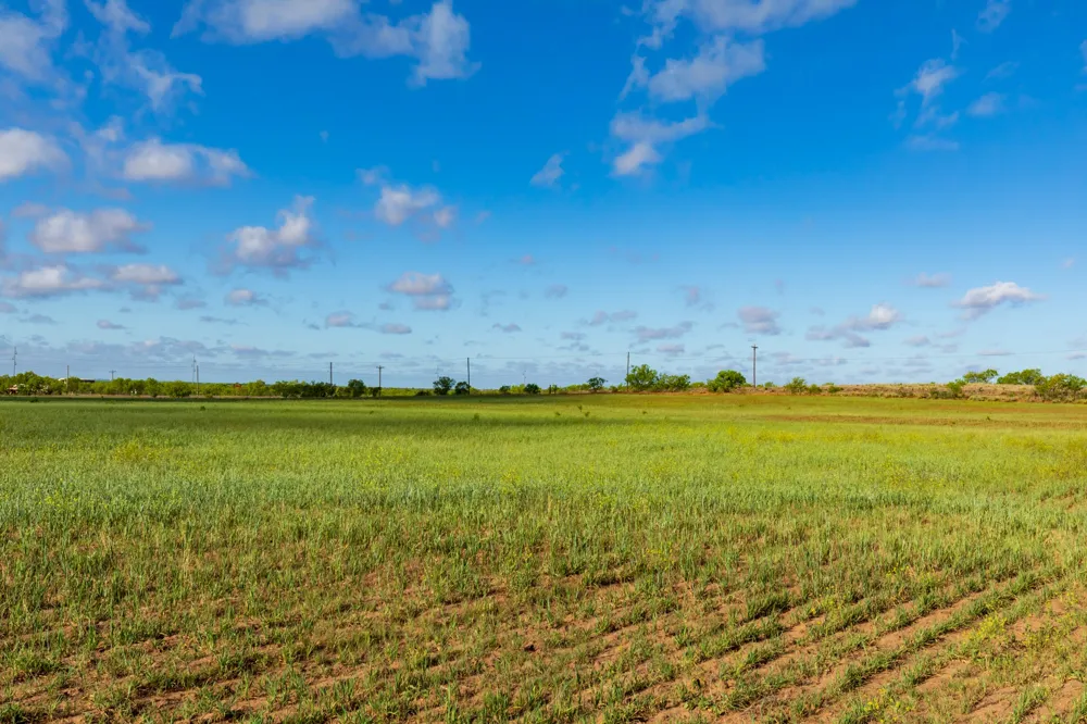 Farm Market 600 Highway Haskell, TX 79521