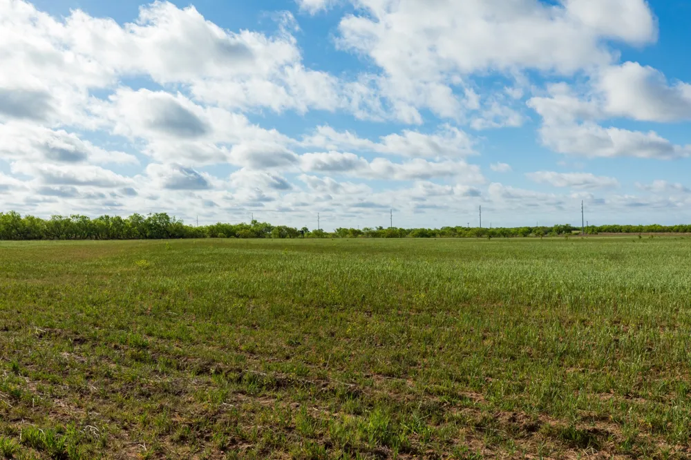 Farm Market 600 Highway Haskell, TX 79521