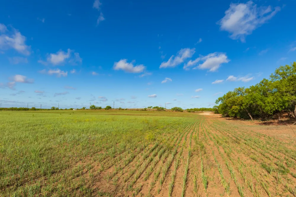 Farm Market 600 Highway Haskell, TX 79521