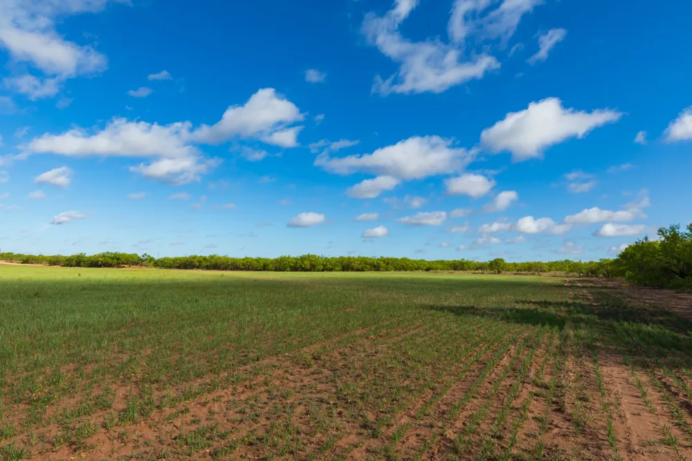 Farm Market 600 Highway Haskell, TX 79521
