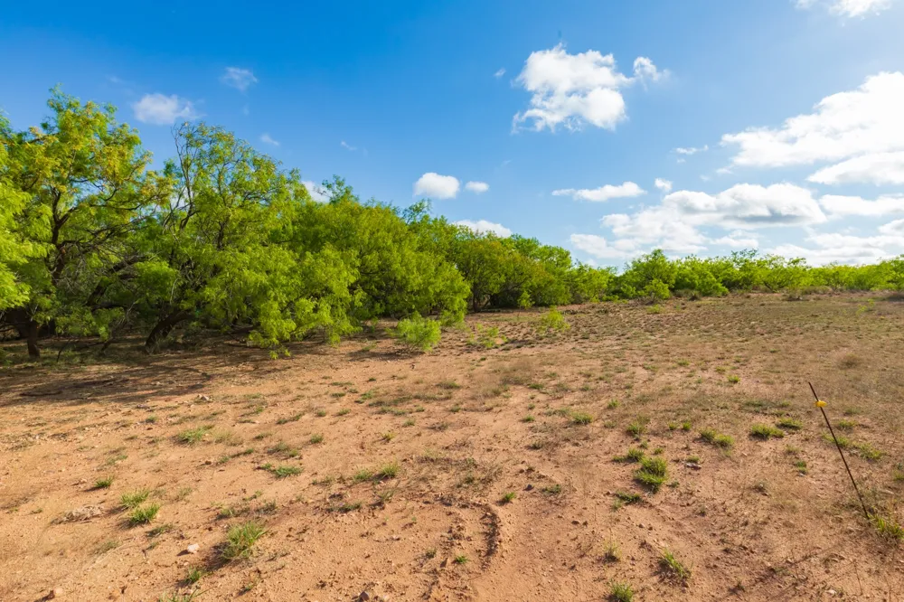 Farm Market 600 Highway Haskell, TX 79521