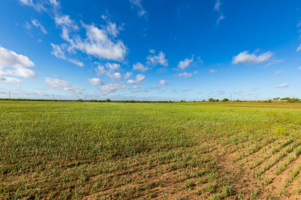 Farm Market 600 Highway Haskell, TX 79521
