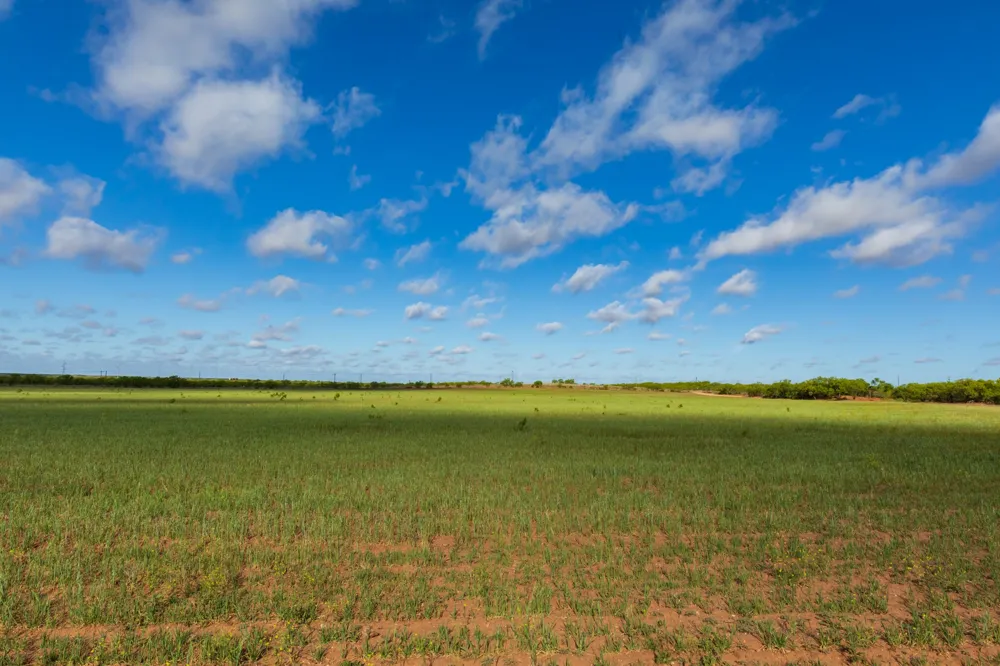 Farm Market 600 Highway Haskell, TX 79521