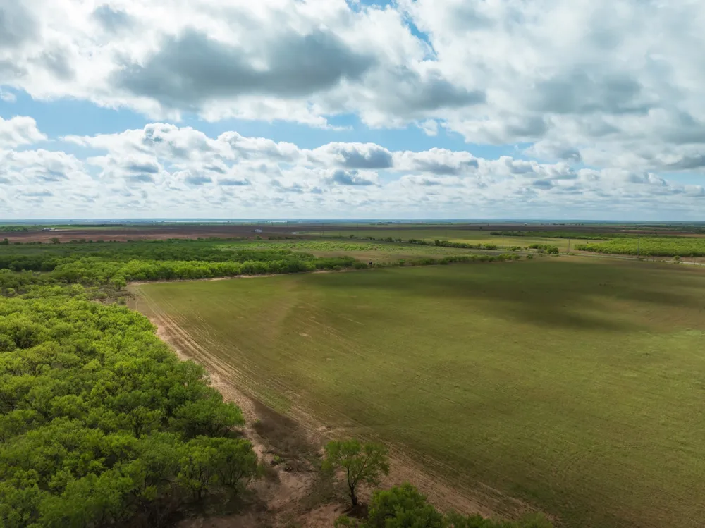 Farm Market 600 Highway Haskell, TX 79521