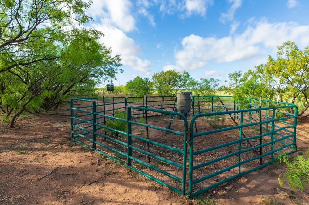 Farm Market 600 Highway Haskell, TX 79521