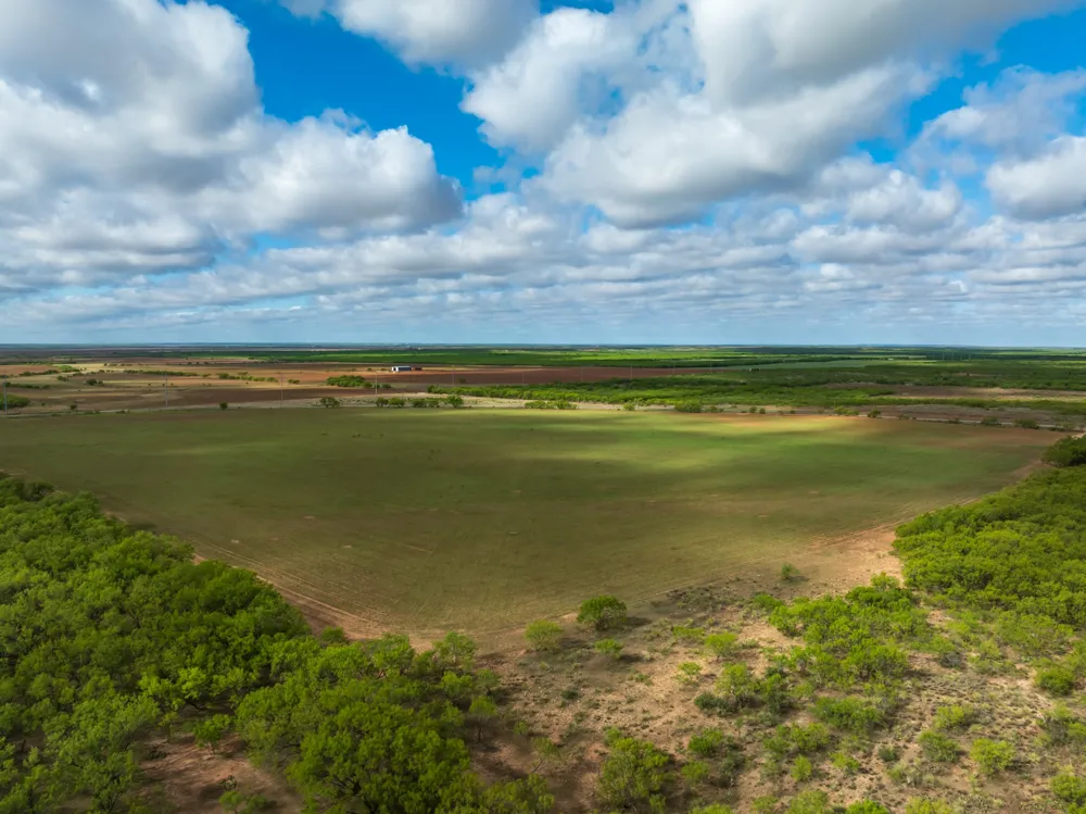Farm Market 600 Highway Haskell, TX 79521