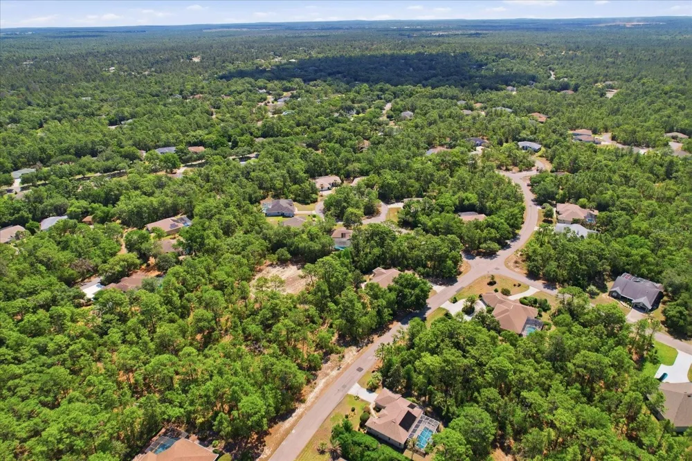 3 PORTULACA COURT Homosassa, FL 34446
