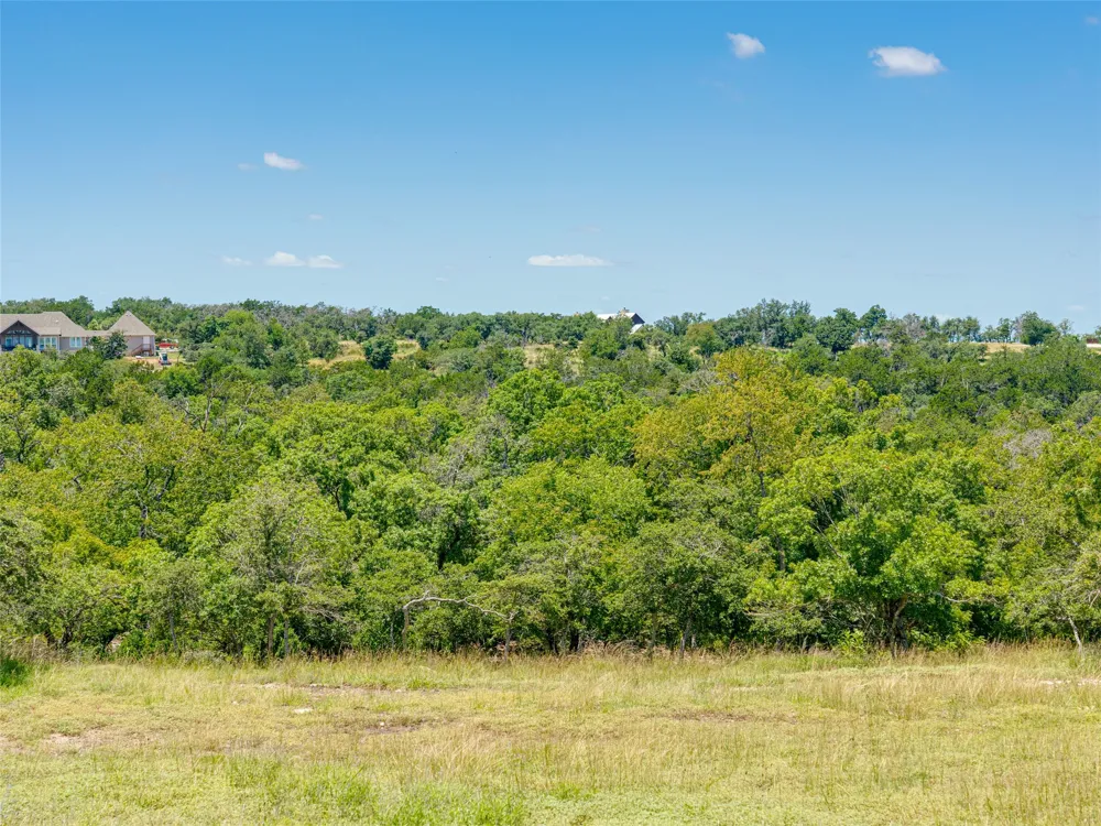 19 Cielo Vista Court Fredericksburg, TX 78624